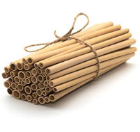 Bamboo Straw 3